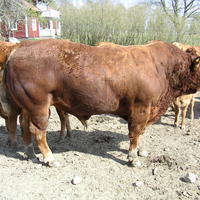 20040424_143808_0.jpg
