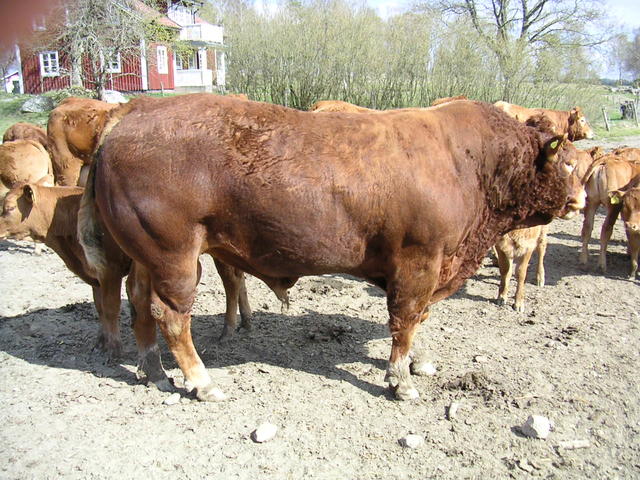 20040424_143808_0.jpg