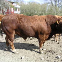 20040424_143900_0.jpg