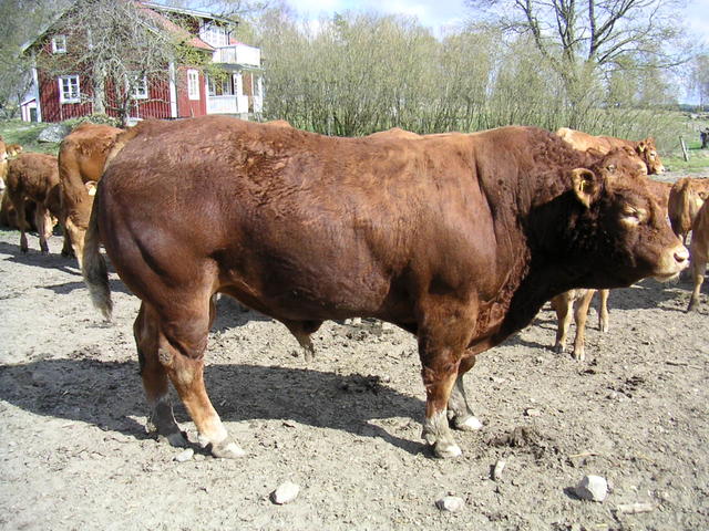 20040424_143900_0.jpg