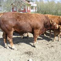 20040424_143934_0.jpg