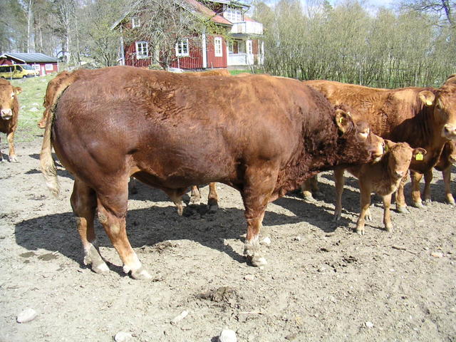 20040424_143934_0.jpg