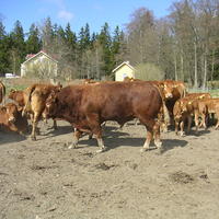 20040424_144123_0.jpg