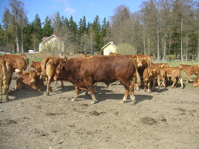 20040424_144123_0.jpg