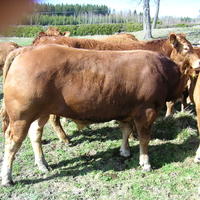 20040424_145356_0.jpg
