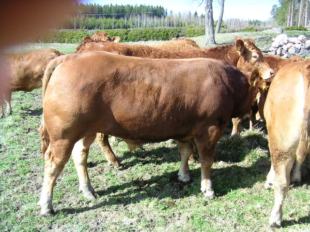 20040424_145356_0.jpg