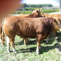 20040424_145434_0.jpg