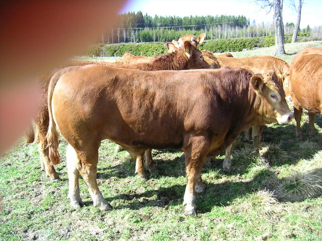 20040424_145434_0.jpg