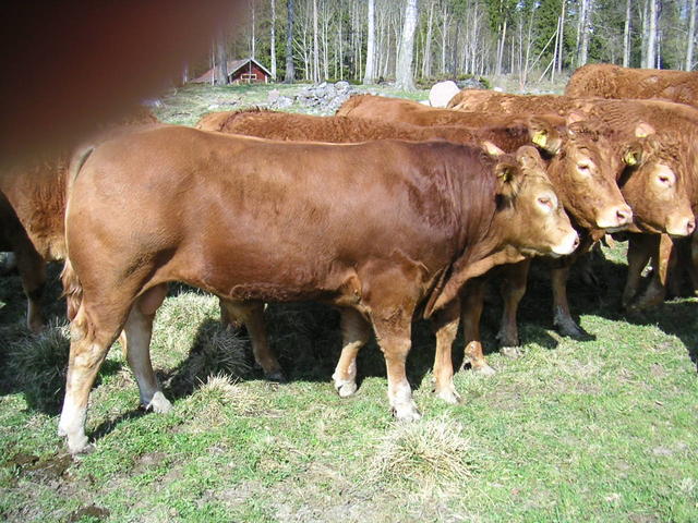 20040424_145455_0.jpg