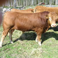20040424_145530_0.jpg