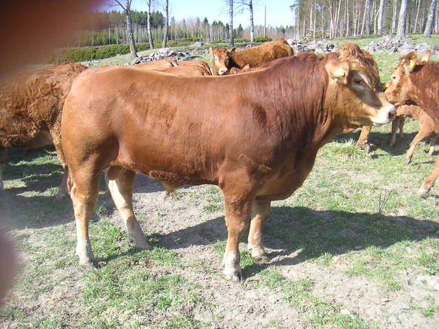 20040424_145634_0.jpg
