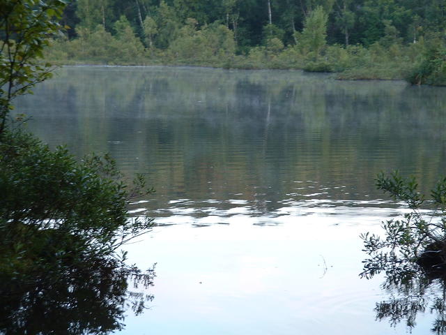 20040729_202405_0.jpg