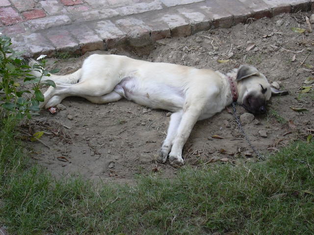 DSCN0059.JPG