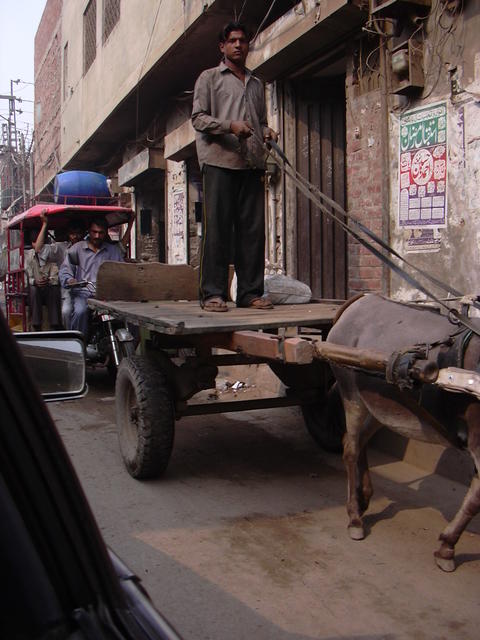 DSCN0110.JPG