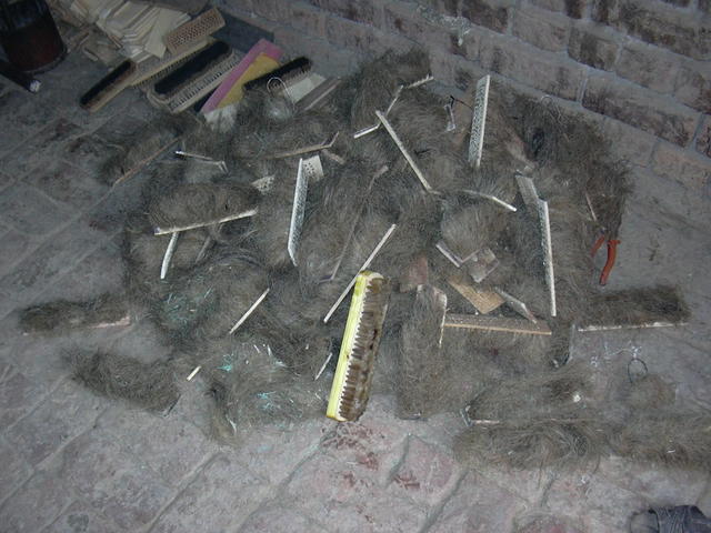 DSCN0136.JPG