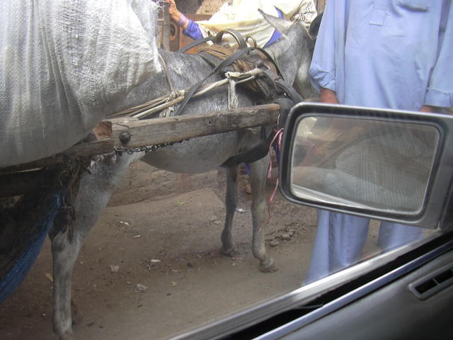 DSCN0146.JPG