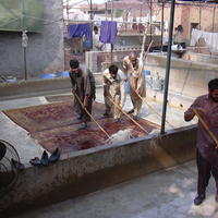 DSCN0217.JPG