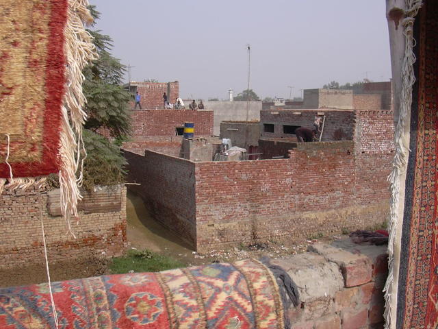 DSCN0228.JPG