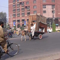 DSCN0236.JPG