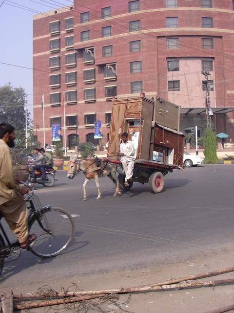 DSCN0236.JPG