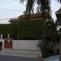 DSCN0254.JPG