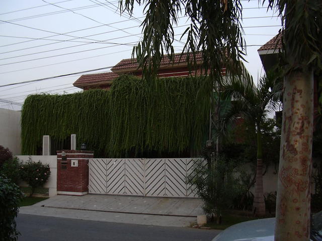 DSCN0254.JPG