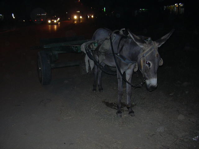 DSCN0257.JPG