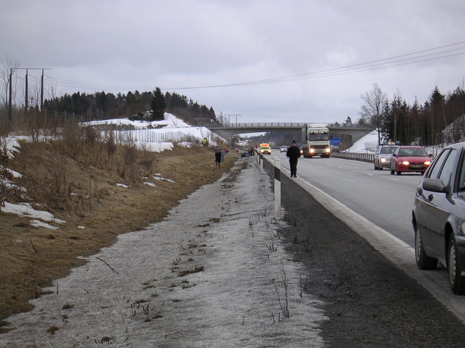 20060323_180331-0.jpg