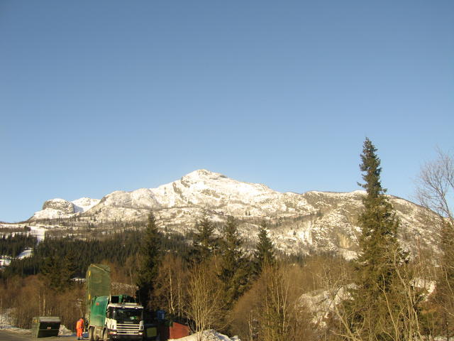 20060324_081439-0.jpg