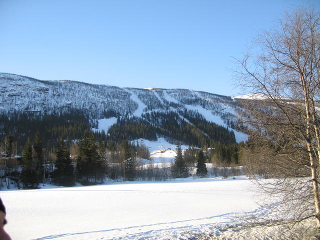 20060324_081446-0.jpg