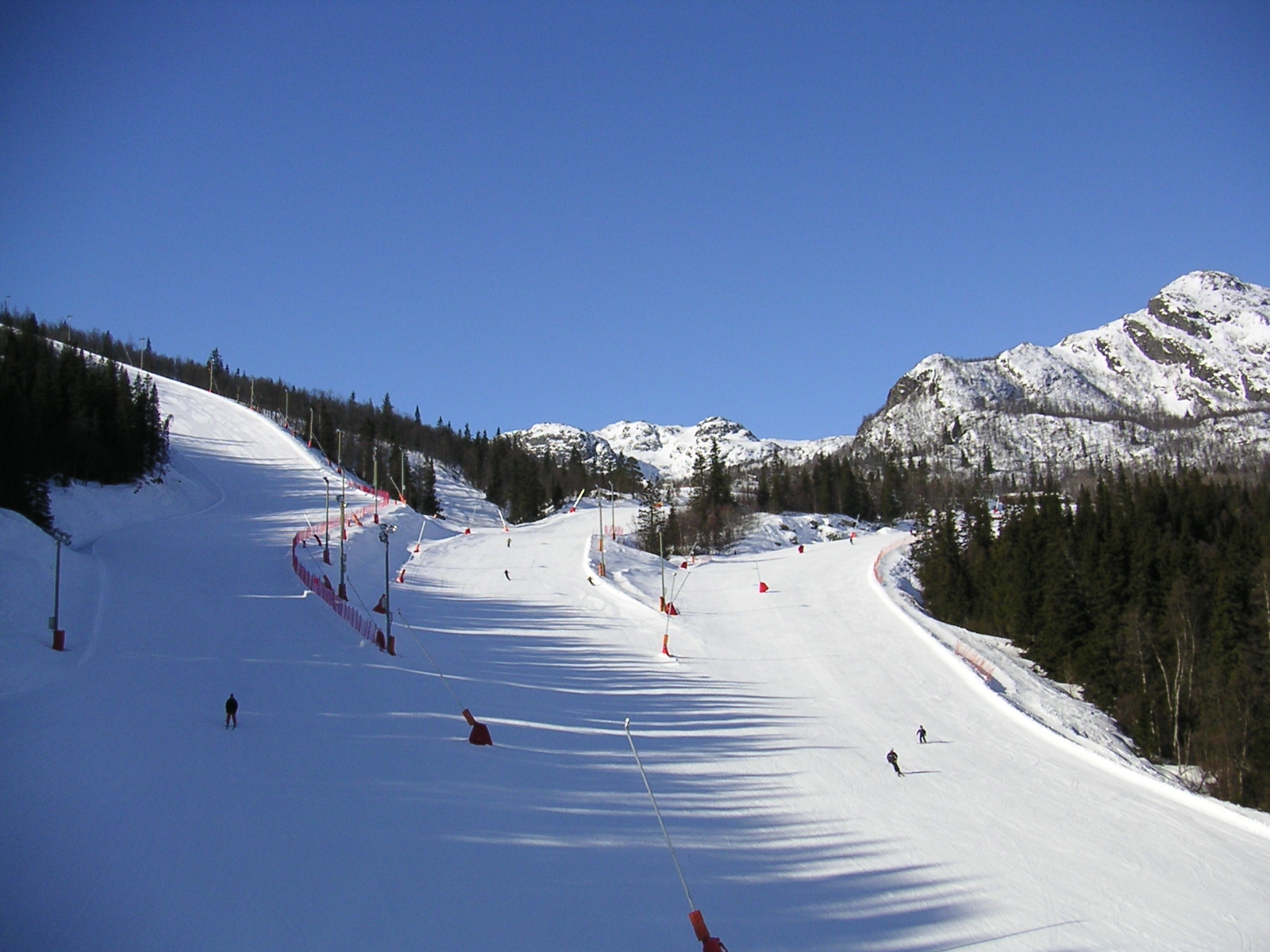 20060324_093921-0.jpg