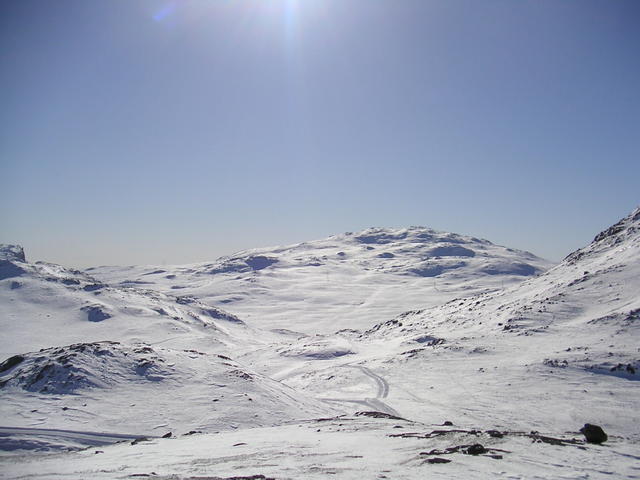 20060324_100101-0.jpg
