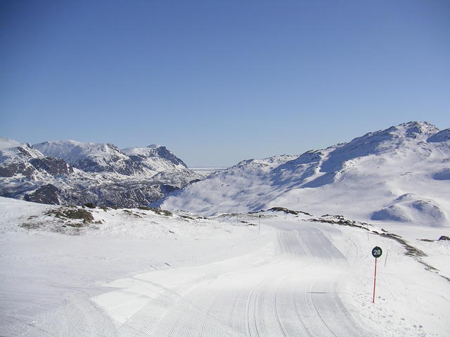 20060324_100105-0.jpg