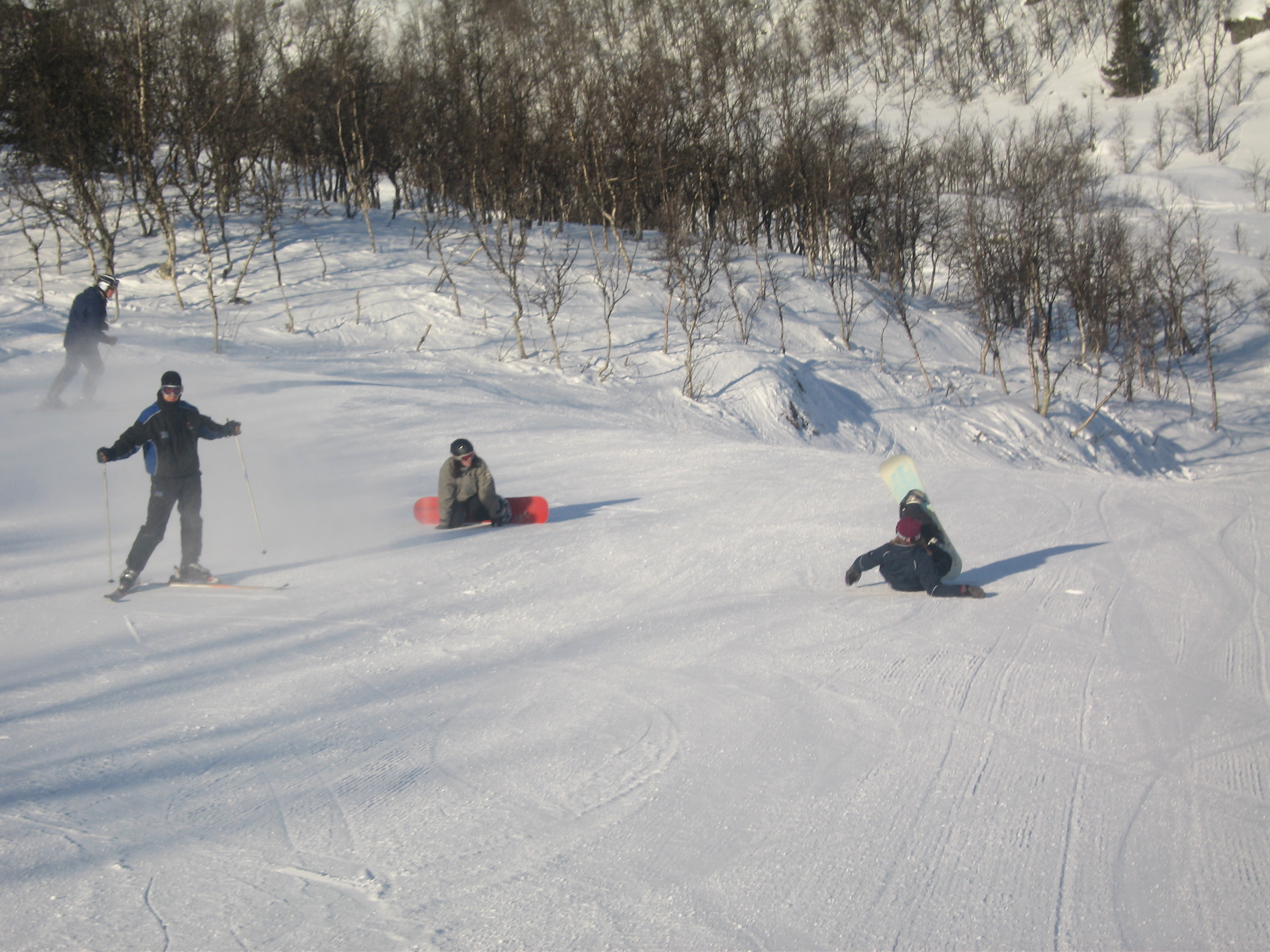 20060324_100404-0.jpg