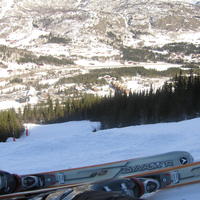 20060324_110923-0.jpg
