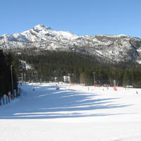 20060324_112042-0.jpg