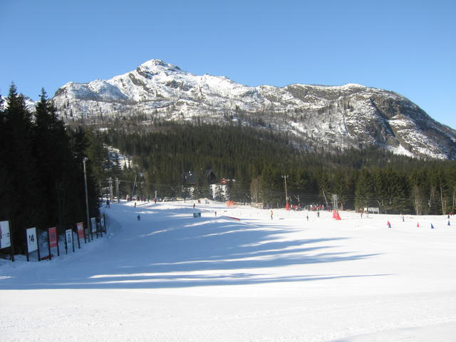 20060324_112042-0.jpg