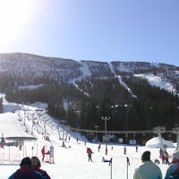 20060324_113002-0.jpg