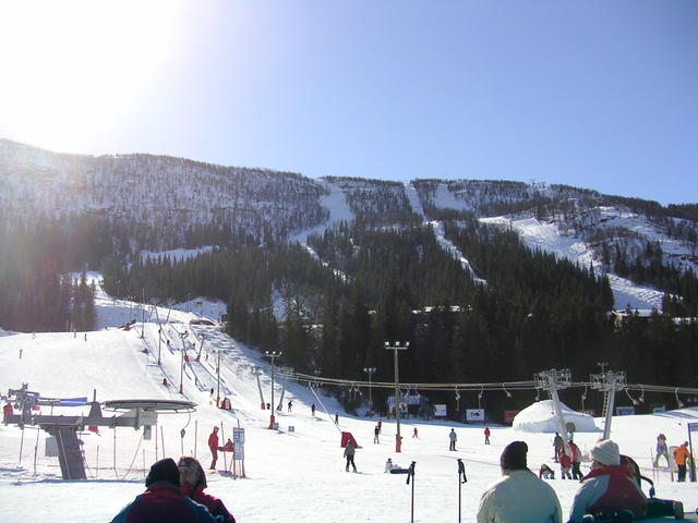 20060324_113002-0.jpg