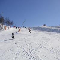 20060324_123109-0.jpg