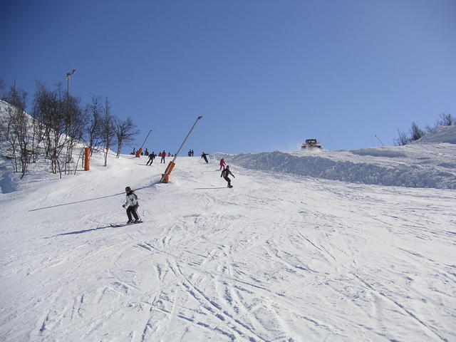 20060324_123109-0.jpg