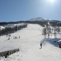 20060324_123536-0.jpg