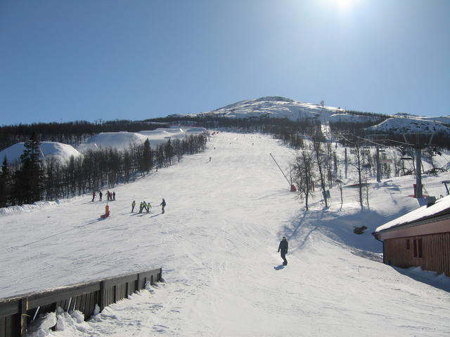 20060324_123536-0.jpg