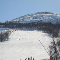 20060324_130411-0.jpg