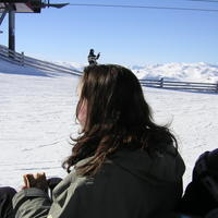 20060324_134352-0.jpg