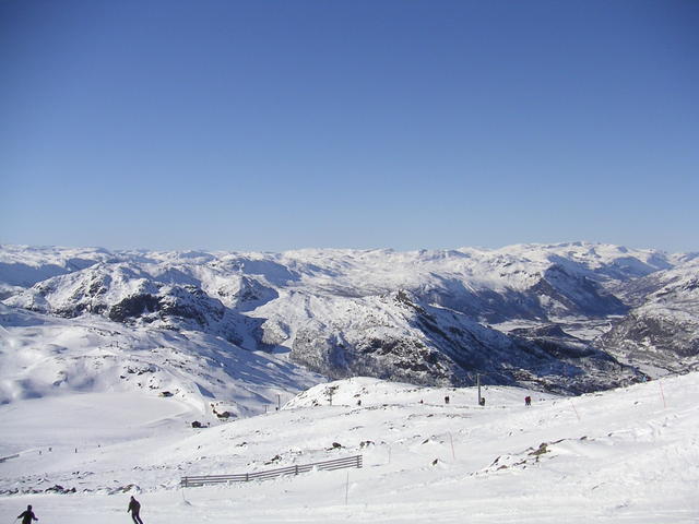 20060324_150528-0.jpg