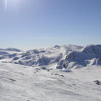 20060324_150534-0.jpg