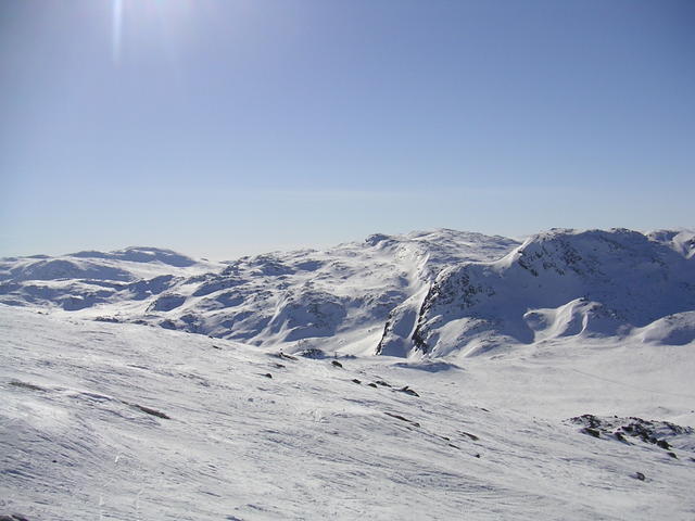 20060324_150534-0.jpg