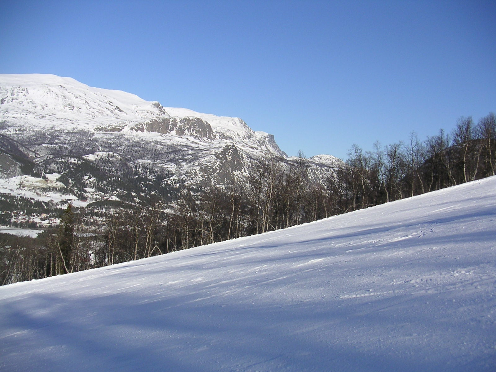 20060324_153841-0.jpg