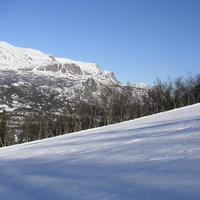 20060324_153841-0.jpg